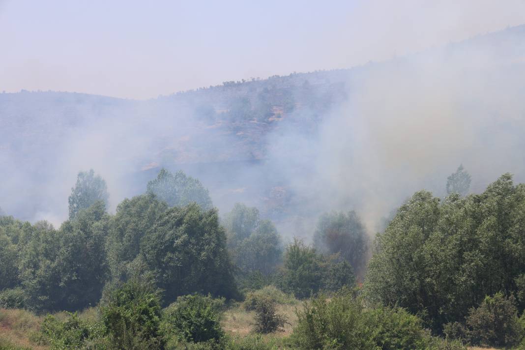 Elazığ'da orman yangını 43